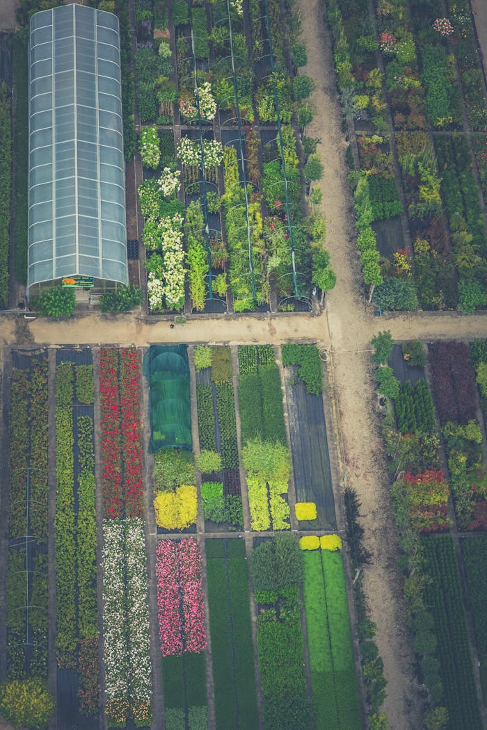 Aerial shot of vibrant plant nursery with greenhouse and diverse flora.