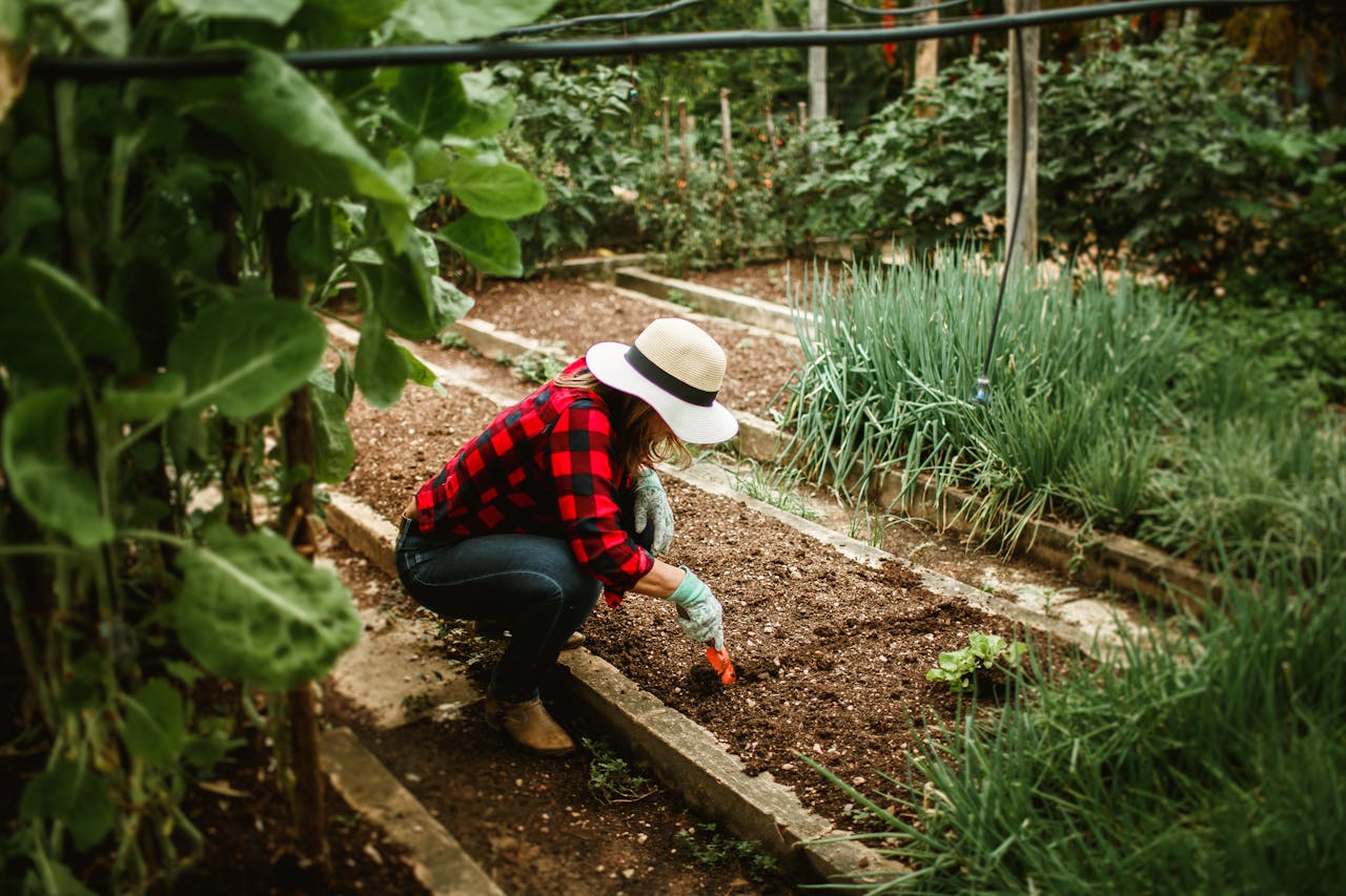 services-bg Woman in a hat tending to a vegetable garden, surrounded by lush plants, showcasing outdoor gardening.