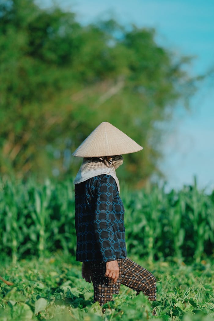 A farmer wearing traditional Vietnamese hat and jacket in a lush green field.