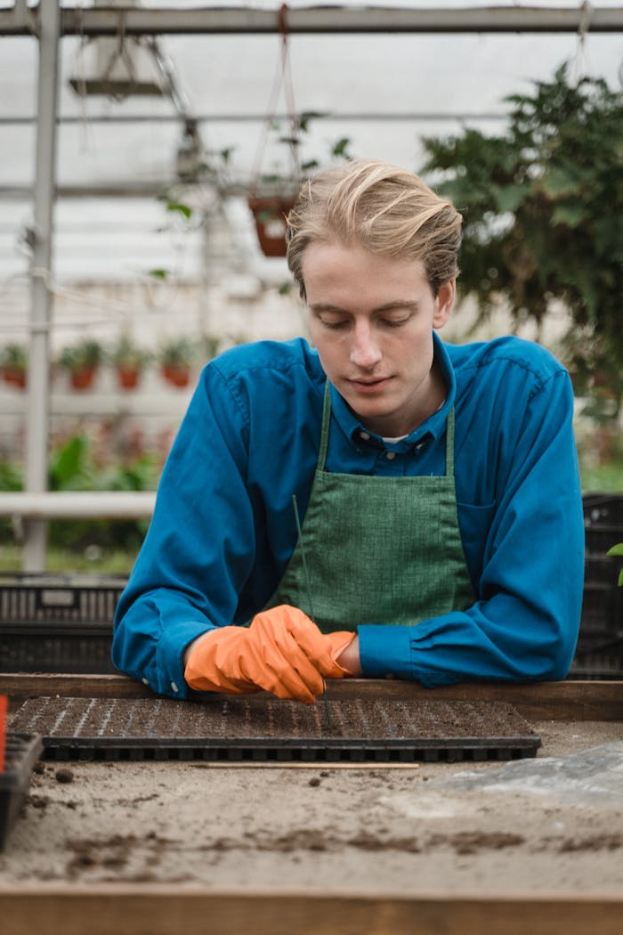 A horticulturist in a greenhouse tending to seedlings, showcasing plant care and cultivation.