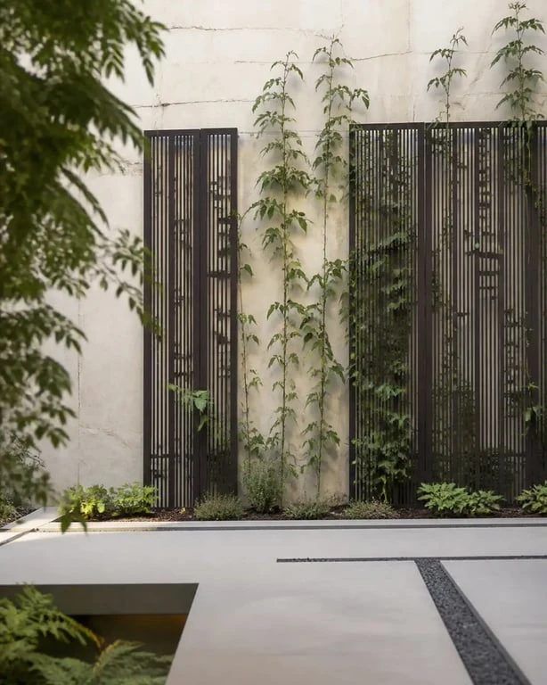 Idée pour cacher un mur extérieur avec panneaux décoratifs et plantes grimpantes