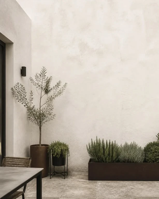 Idée pour cacher un mur extérieur avec peinture et plantes sur une terrasse